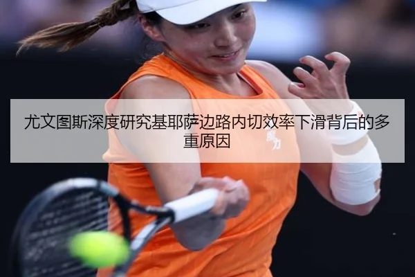 you-wen-tu-si-shen-du-yan-jiu-ji-ye-sa-bian-lu-nei-qie-xiao-lv-xia-hua-bei-hou-de-duo-zhong-yuan-yin-3-804.jpg